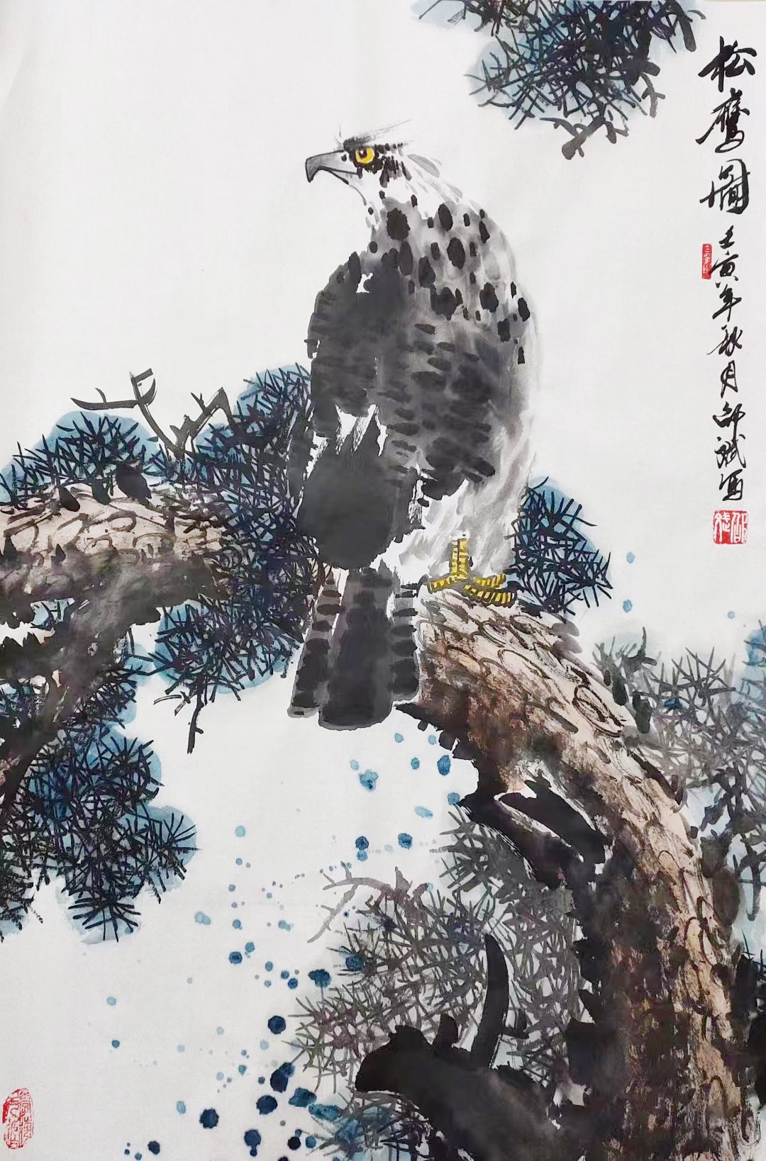 D ҇(gu)(hu)Ʒ (xi)